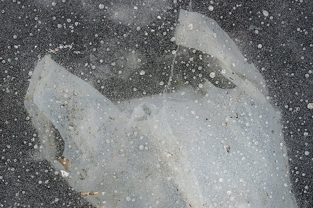 frozen ice white plastic bag